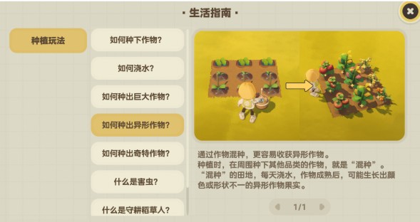 星布谷地丰硕作物种植指南