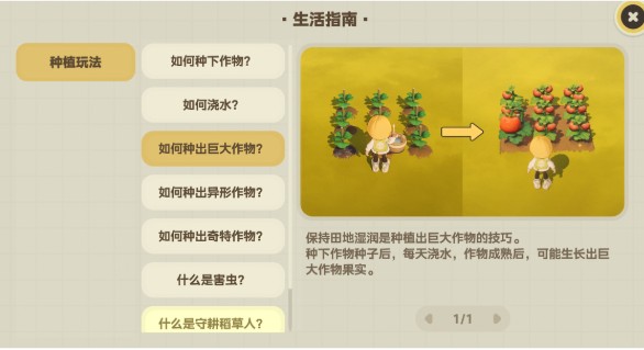 星布谷地丰硕作物种植指南