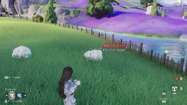 伊莫捕获率提升技巧