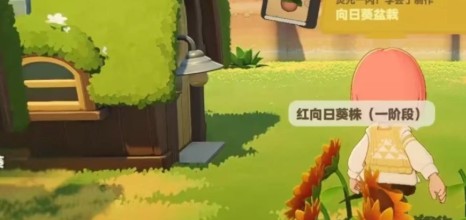 星布谷地开局星球选择推荐