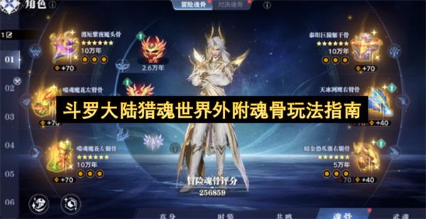 斗罗大陆猎魂世界外附魂骨玩法指南