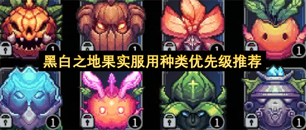 黑白之地果实服用种类优先级推荐