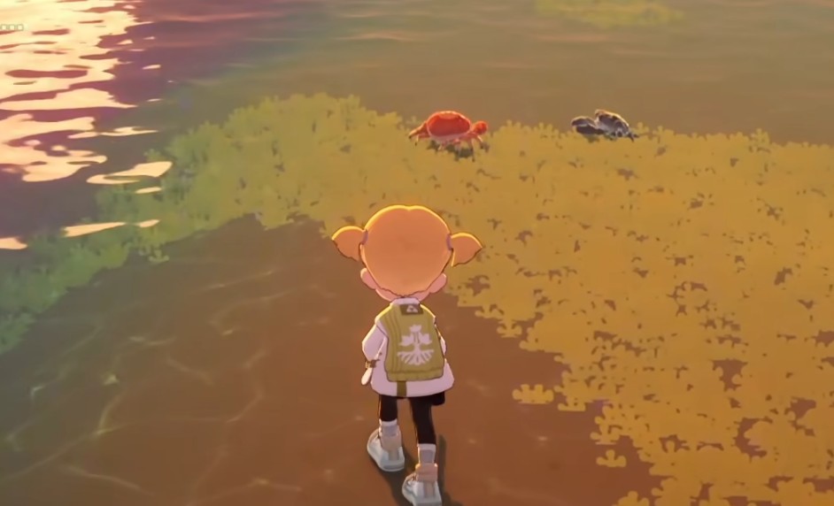星布谷地捕捉寄居蟹指南