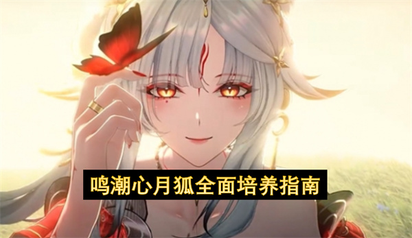 鸣潮心月狐全面培养指南