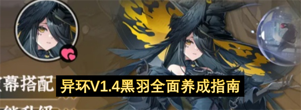 异环V1.4黑羽全面养成指南