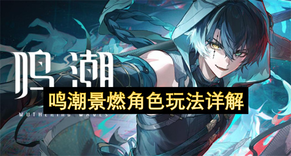 鸣潮景燃角色玩法详解