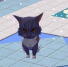 创造与魔法香蕉猫获取指南