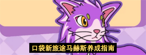 口袋新旅途马赫斯养成指南