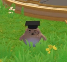 创造与魔法香蕉猫获取指南
