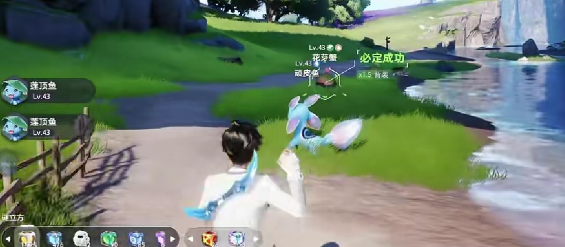 伊莫巫帽草捕捉指南