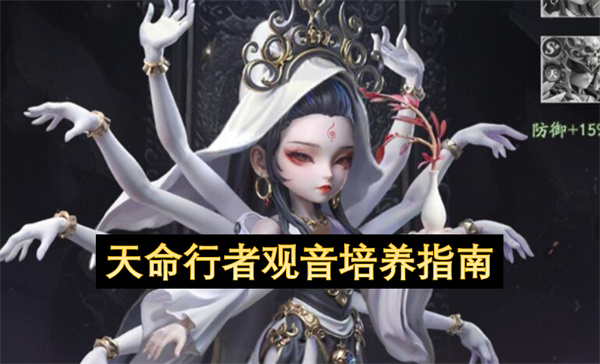 天命行者观音培养指南