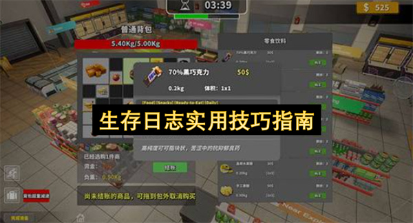 生存日志实用技巧指南