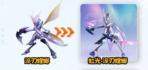 伊莫自选虹光选择建议指南