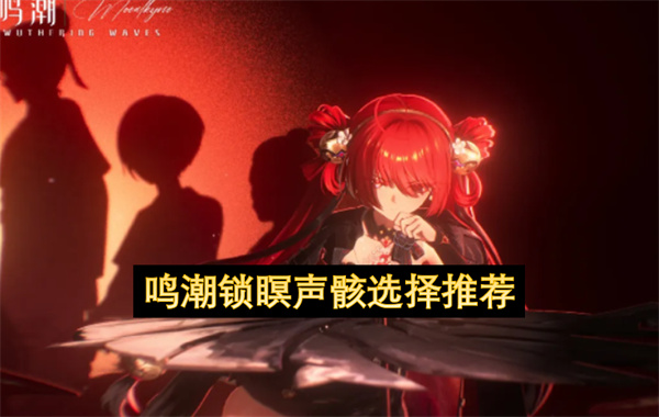 鸣潮锁瞑声骸选择推荐