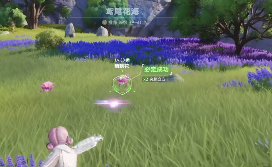 伊莫出来吧小花飘飘花点位一览
