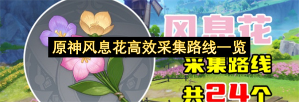 原神风息花高效采集路线汇总,原神风息花快速采集方法,原神