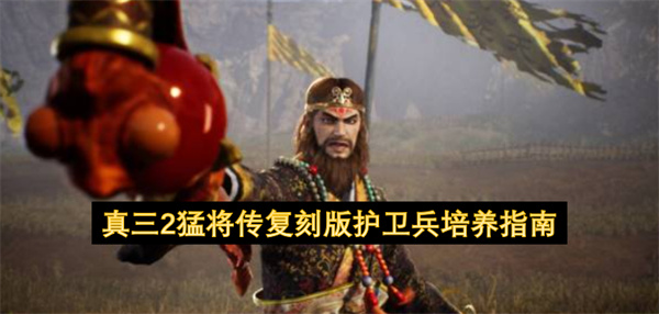 真三2猛将传复刻版护卫兵怎么培养,真三2猛将传复刻版护卫兵培养攻略,真三2猛将传复刻版