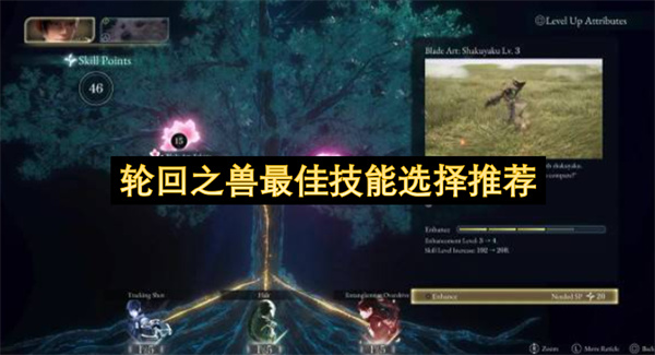 轮回之兽技能怎么选,轮回之兽最佳技能推荐,轮回之兽