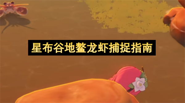 星布谷地鳌龙虾捕捉攻略,星布谷地鳌龙虾怎么捕捉,星布谷地