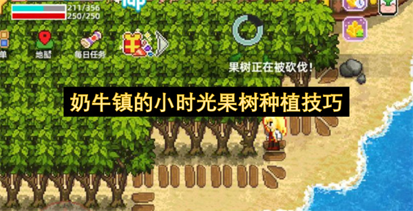 奶牛镇的小时光果树种植攻略,奶牛镇的小时光果树种植指南,奶牛镇的小时光