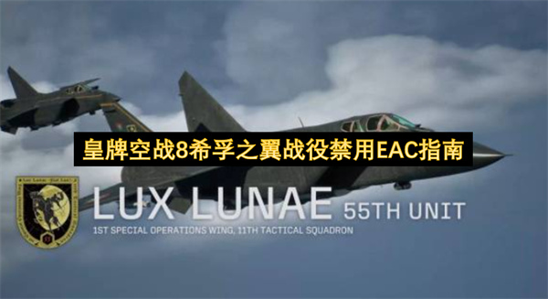 皇牌空战8希孚之翼战役禁用EAC技巧,皇牌空战8怎么役禁用EAC,皇牌空战8希孚之翼