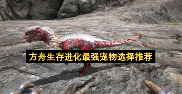 方舟生存进化最强宠物推荐,方舟生存进化最强宠物有哪些,方舟生存进化