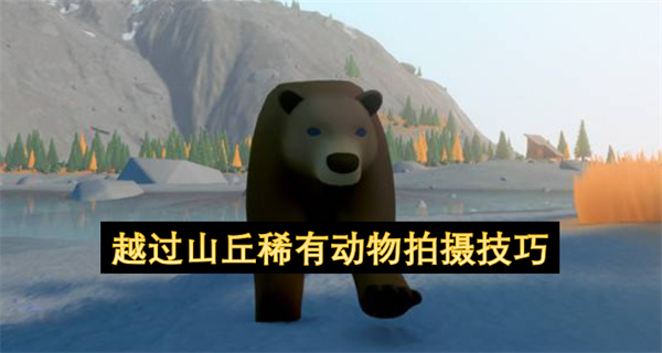越过山丘稀有动物拍摄方法,越过山丘稀有动物怎么拍摄,越过山丘