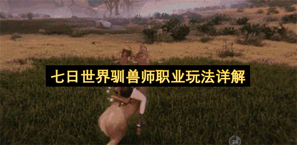 七日世界驯兽师职业玩法介绍,七日世界驯兽师怎么玩,七日世界
