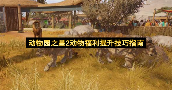 动物园之星2动物福利提升方法,动物园之星2动物福利怎么提升,动物园之星2