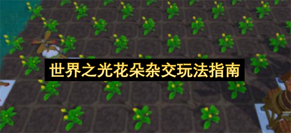 世界之光花朵杂交玩法攻略,世界之光花朵杂交攻略,世界之光